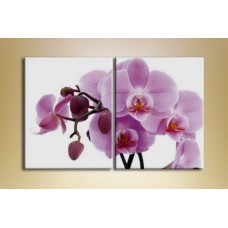 Картина Magic Color Diptych Orchid Pink (2619647)