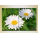 Картина Magic Color Diptych Chamomile (2613824)