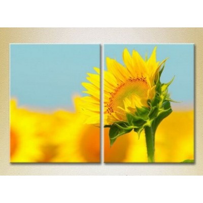 Картина Magic Color Diptych Sunflower (2613810)