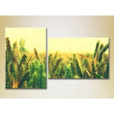 Картина Magic Color Diptych Wheat Field (2613814)