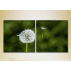 Картина Magic Color Diptych Dandelion (2613797)