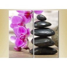 Картина Magic Color Diptych Massage stones and orchid (2613793)