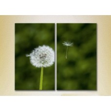 Картина Magic Color Diptych Dandelion (2613795)