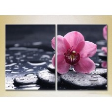 Картина Magic Color Diptych Orchid Purple (2613802)