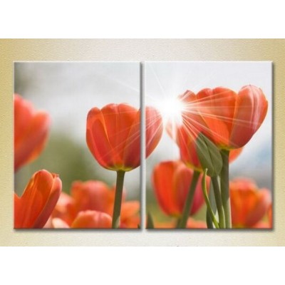 Картина Magic Color Diptych Red tulips (2613786)