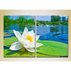 Картина Magic Color Diptych Water Lily (2613787)