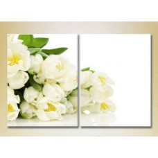 Картина Magic Color Diptych Bouquet of White tulips (2613760)