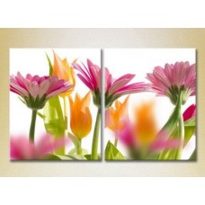 Картина Magic Color Diptych Gerbera (2613762)