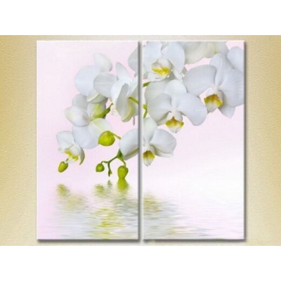 Картина Magic Color Diptych White Orchid (2613751)