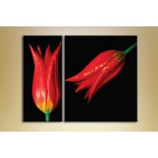 Картина Magic Color Diptych two Red tulips (2619643)