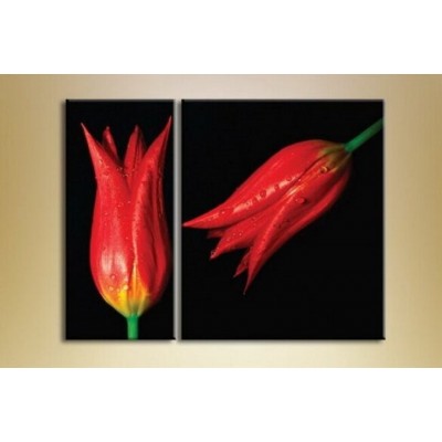 Картина Magic Color Diptych two Red tulips (2619643)