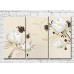 Картина Magic Color White flowers against Beige background (3517841)