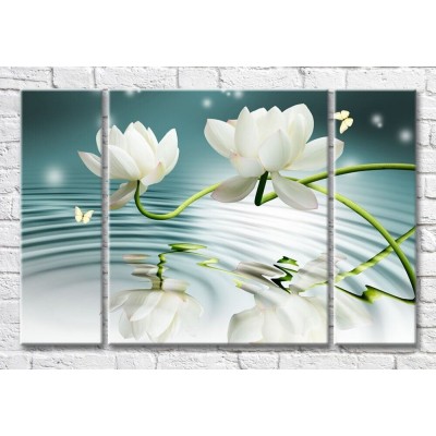 Картина Magic Color Lotus flowers on a background of water (3517885)