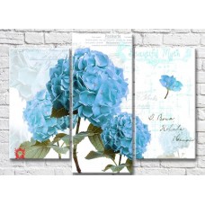 Картина Magic Color Blue hydrangea on a light background (3517887)