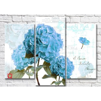 Pictură Magic Color Blue hydrangea on a light background (3517887)