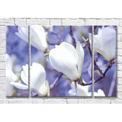 Картина Magic Color Branch of White magnolia on a Lilac background (3565143)