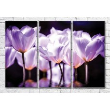 Картина Magic Color Lilac tulips on a Black background (3565128)