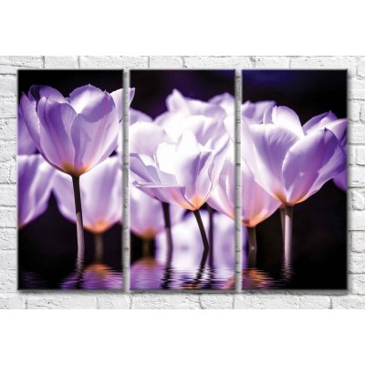 Картина Magic Color Lilac tulips on a Black background (3565128)