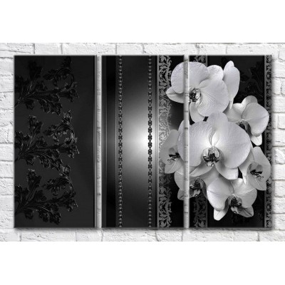 Картина Magic Color Monochrome orchids and patterns on a Dark background (3565134)