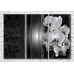 Картина Magic Color Monochrome orchids and patterns on a Dark background (3565134)