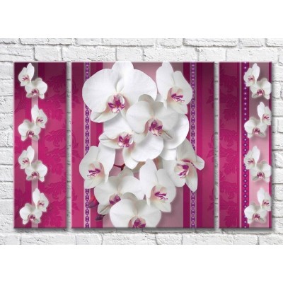 Картина Magic Color White orchids on a Pink background with patterns (3565141)