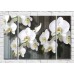 Картина Magic Color Branch of White orchid on a Gray plank background (3565145)