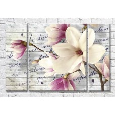 Картина Magic Color Magnolia branch on a plank background with inscriptions (3565146)