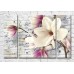 Картина Magic Color Magnolia branch on a plank background with inscriptions (3565146)