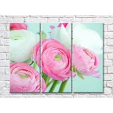 Картина Magic Color White and Pink ranunculus on a Blue background (500066)