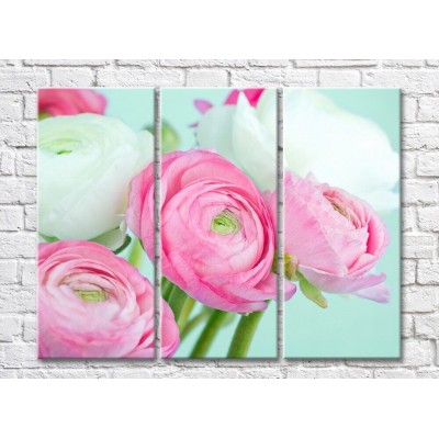 Картина Magic Color White and Pink ranunculus on a Blue background (500066)