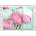 Картина Magic Color White and Pink ranunculus on a Blue background (500066)