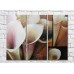 Картина Magic Color White calla lilies in oil (3448875)