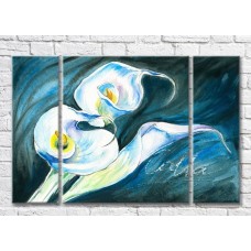 Картина Magic Color White calla lilies on a Turquoise background (3572546)