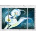 Картина Magic Color White calla lilies on a Turquoise background (3572546)