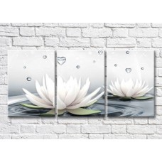 Картина Magic Color White water lilies and water droplets in the form of hearts (3565215)