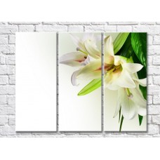 Картина Magic Color White lilies and Green leaves on a White background (500069)