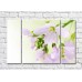 Pictură Magic Color White freesia flowers and buds (500074)