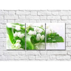 Pictură Magic Color White lily of the valley flowers on Green leaves (500075)