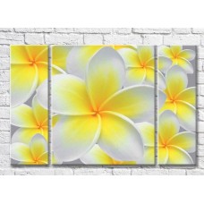 Pictură Magic Color Yellow Plumeria Flowers (3565157)