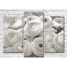 Картина Magic Color Vintage background with monochrome ranunculus (3565193)