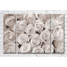 Pictură Magic Color Monochrome rose flowers (3565176)