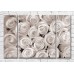 Pictură Magic Color Monochrome rose flowers (3565176)