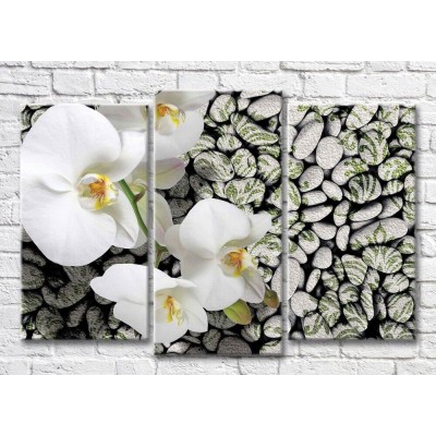 Pictură Magic Color A branch of a White orchid against a background of patterned stones (3565187)