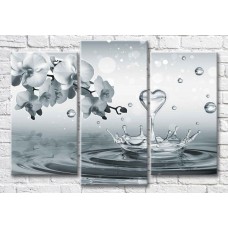 Pictură Magic Color Orchid branch above water and water splash (3565189)