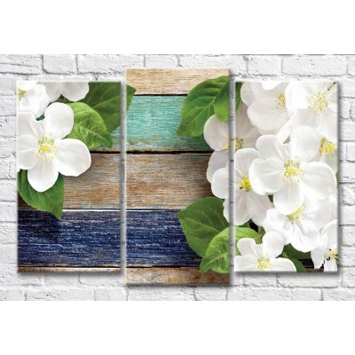 Pictură Magic Color Flowers and leaves of apple tree on a plank background (3565209)