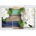 Pictură Magic Color Flowers and leaves of apple tree on a plank background (3565209)