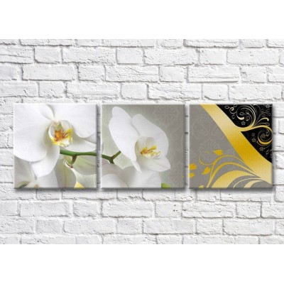 Pictură Magic Color White orchid on a Gray background and Gold patterns (3565214)