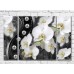 Pictură Magic Color White orchid with pearls on a Dark background (3565239)