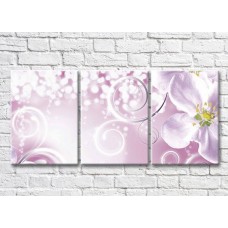 Картина Magic Color White flower and curls on a Pink background (3565222)