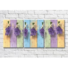 Картина Magic Color Hanging bunches of lavender on colorful background (3565230)